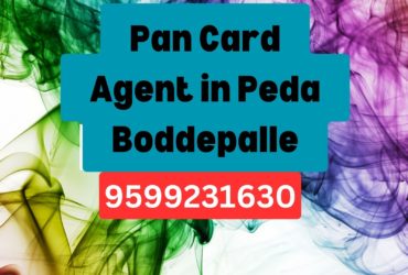 Pan Card Agent Consultant in Peda Boddepalle 8851415812