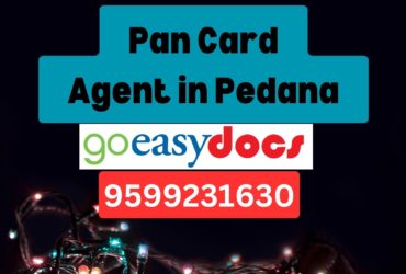 Pan Card Agent Consultant in Pedana 8851415812