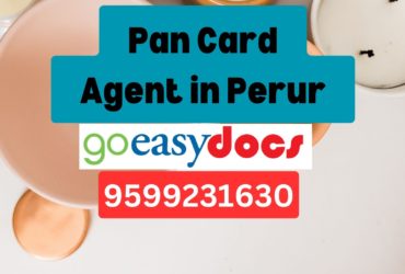 Pan Card Agent Consultant in Perur 8851415812