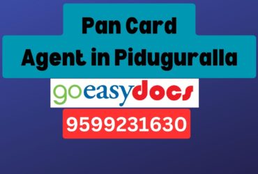 Pan Card Agent Consultant in Piduguralla 8851415812