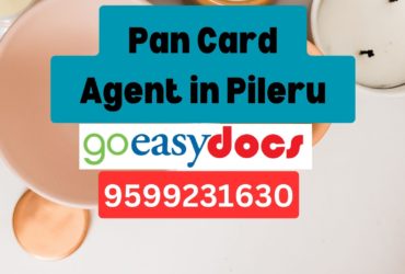 Pan Card Agent Consultant in Pileru 8851415812