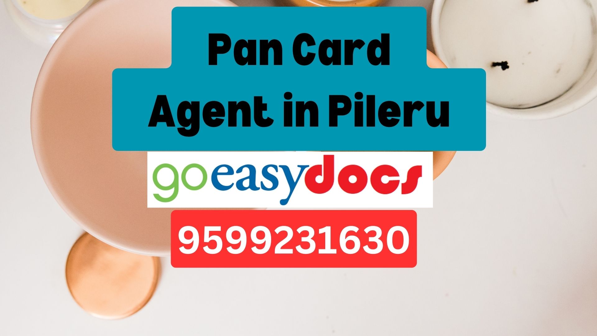 Pan Card Agent Consultant in Pileru 8851415812