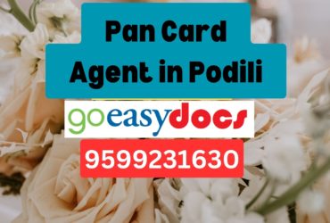 Pan Card Agent Consultant in Podili 8851415812