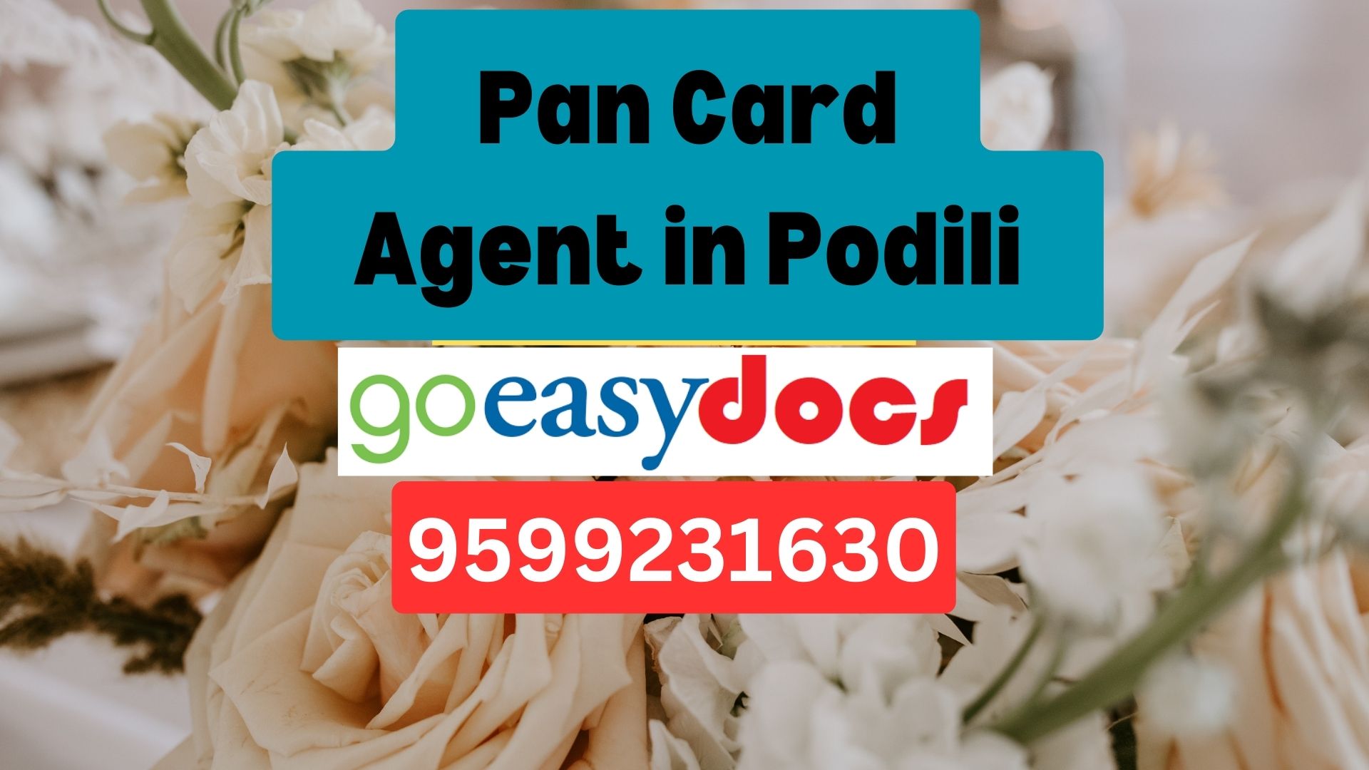 Pan Card Agent Consultant in Podili 8851415812