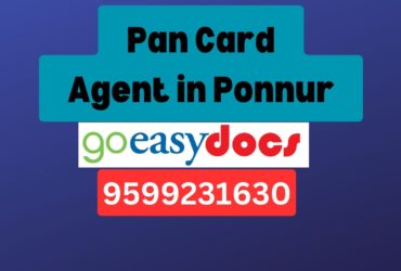 Pan Card Agent Consultant in Ponnur 8851415812