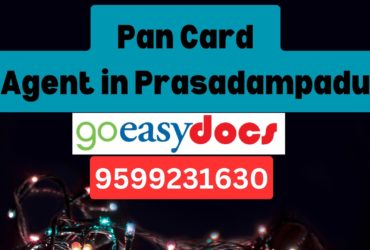 Pan Card Agent Consultant in Prasadampadu 8851415812