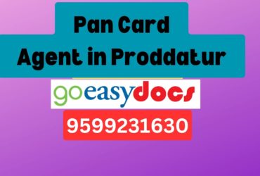 Pan Card Agent Consultant in Proddatur  8851415812