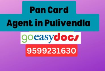 Pan Card Agent Consultant in Pulivendla   8851415812