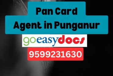 Pan Card Agent Consultant in Punganur 8851415812