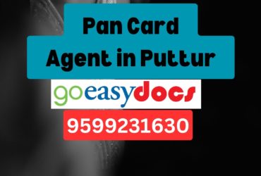 Pan Card Agent Consultant in Puttur 8851415812