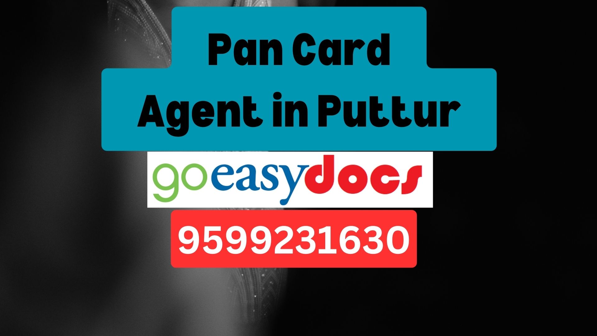 Pan Card Agent Consultant in Puttur 8851415812