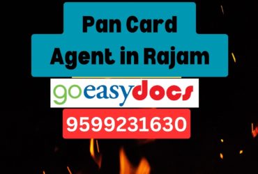 Pan Card Agent Consultant in Rajam 8851415812