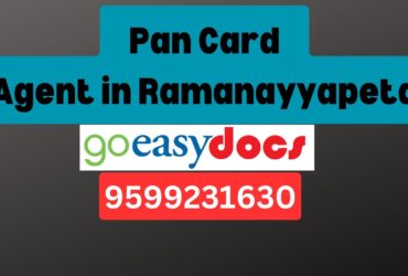 Pan Card Agent Consultant in Ramanayyapeta 8851415812