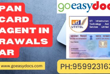 Pan Card Agent Consultant in Rawalsar  8851415812