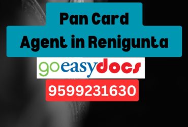 Pan Card Agent Consultant in Renigunta 8851415812