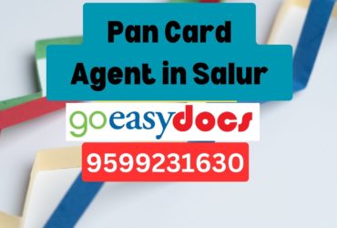 Pan Card Agent Consultant in Salur 8851415812