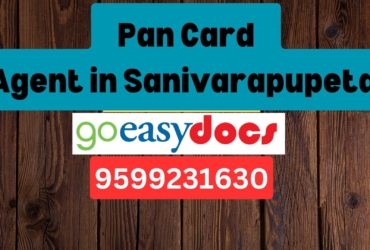 Pan Card Agent Consultant in Sanivarapupeta  8851415812