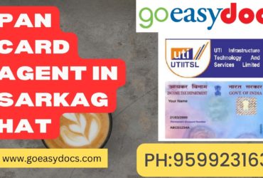 Pan Card Agent Consultant in Sarkaghat 8851415812