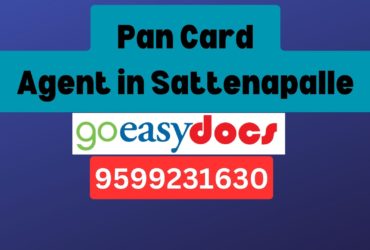 Pan Card Agent Consultant in Sattenapalle 8851415812