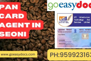 Pan Card Agent Consultant in Seoni 8851415812