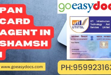 Pan Card Agent Consultant in Shamshi 8851415812