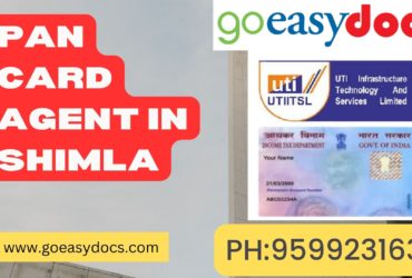 Pan Card Agent Consultant in Shimla 8851415812