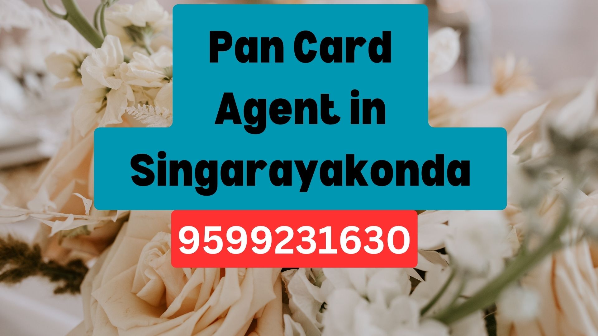 Pan Card Agent Consultant in Singarayakonda 8851415812