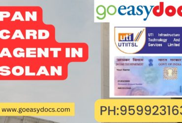 Pan Card Agent Consultant in Solan 8851415812