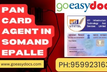 Pan Card Agent Consultant in Somandepalle 8851415812