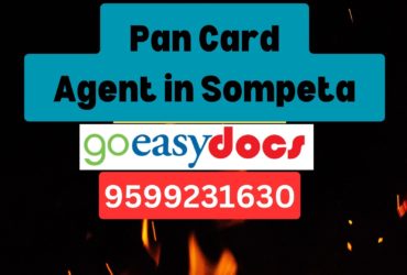 Pan Card Agent Consultant in Sompeta 8851415812