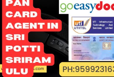 Pan Card Agent Consultant in Sri Potti Sriramulu Nellore 8851415812