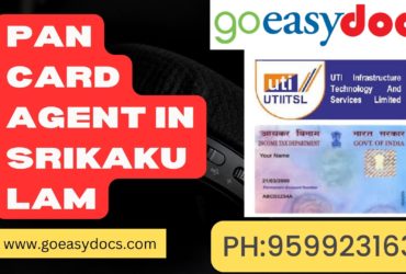 Pan Card Agent Consultant in Srikakulam 8851415812