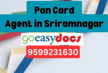 Pan Card Agent Consultant in Sriramnagar 8851415812