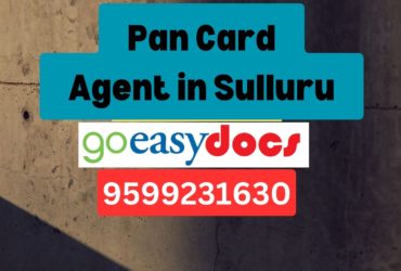 Pan Card Agent Consultant in Sulluru (Sullurpeta) 8851415812