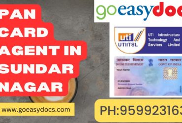 Pan Card Agent Consultant in Sundarnagar 8851415812