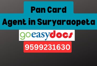 Pan Card Agent Consultant in Suryaraopeta 8851415812