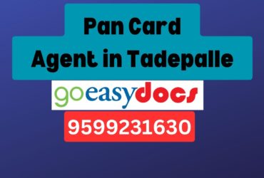 Pan Card Agent Consultant in Tadepalle 8851415812