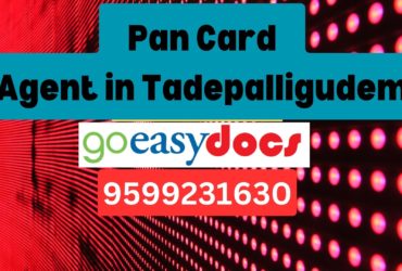 Pan Card Agent Consultant in Tadepalligudem  8851415812