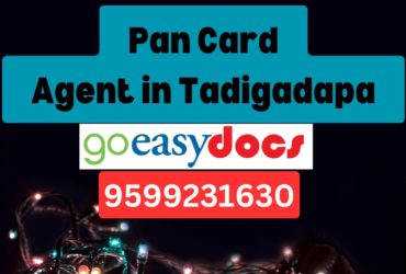 Pan Card Agent Consultant in Tadigadapa 8851415812