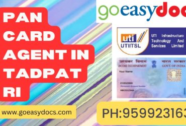 Pan Card Agent Consultant in Tadpatri  8851415812