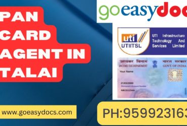 Pan Card Agent Consultant in Talai 8851415812