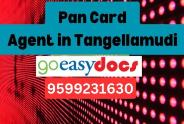 Pan Card Agent Consultant in Tangellamudi  8851415812