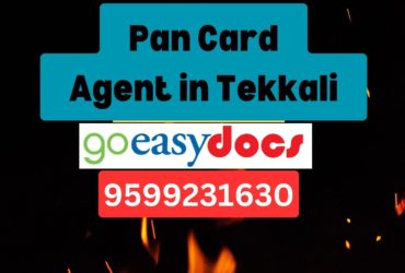 Pan Card Agent Consultant in Tekkali 8851415812