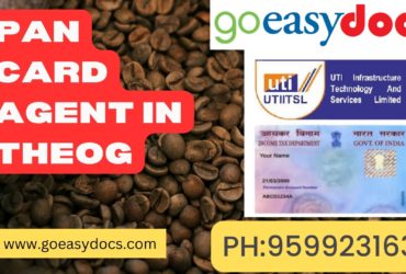 Pan Card Agent Consultant in Theog 8851415812