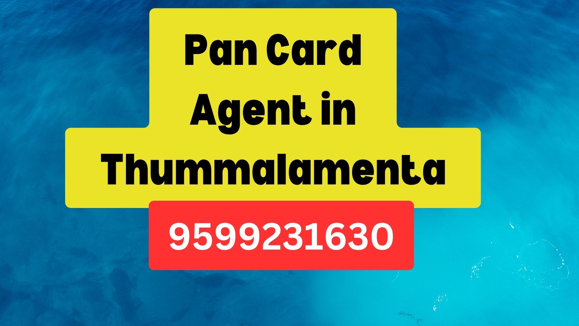 Pan Card Agent Consultant in Thummalamenta 8851415812