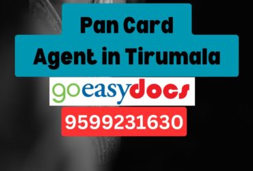 Pan Card Agent Consultant in Tirumala 8851415812