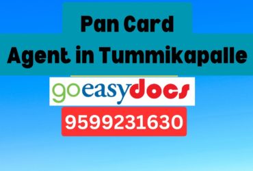 Pan Card Agent Consultant in Tummikapalle 8851415812