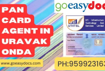 Pan Card Agent Consultant in Uravakonda 8851415812