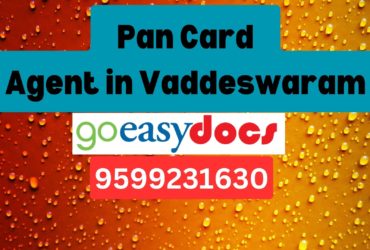 an Card Agent Consultant in Vaddeswaram 8851415812