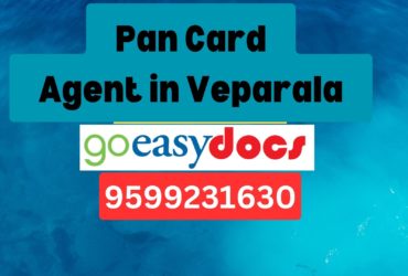 Pan Card Agent Consultant in Veparala  8851415812